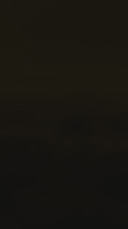 Colis Alimentaire à Gaza